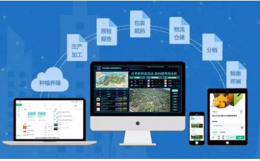 水果網(wǎng)紅避雷指南，“橙”心“橙”意做溯源